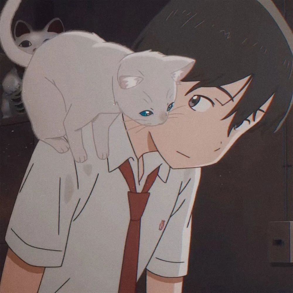 动漫男头丨各位直男