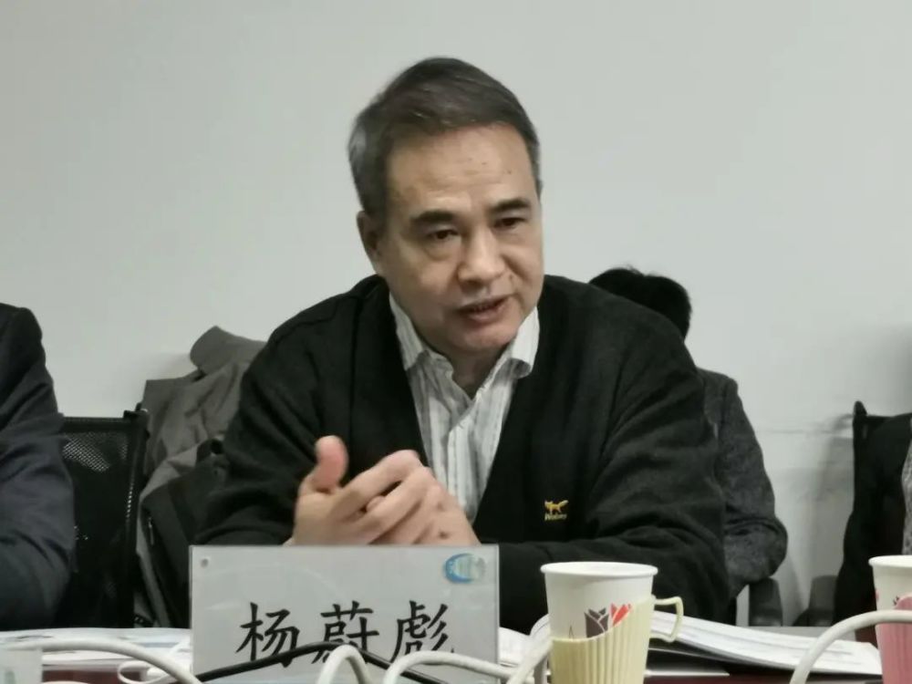 杨蔚彪北京建筑设计院总工程师博士段伟涛北京五合国际工程设计顾问