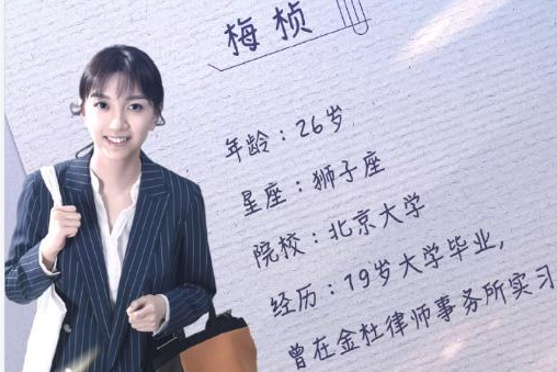 网红女学霸梅桢靠外籍上北大不具备任教资格