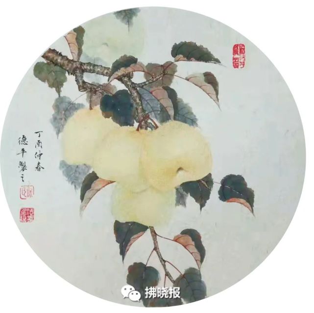 宿州映像砀山梨画且留梨香于纸上