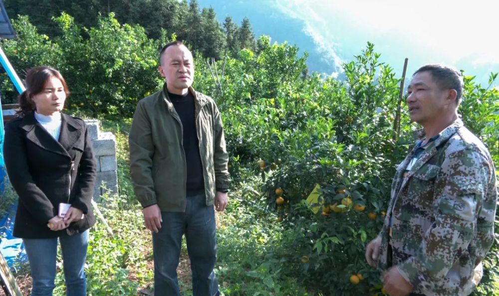 王炳卜到岜暮乡调研指导产业发展和防贫返贫监测等工作