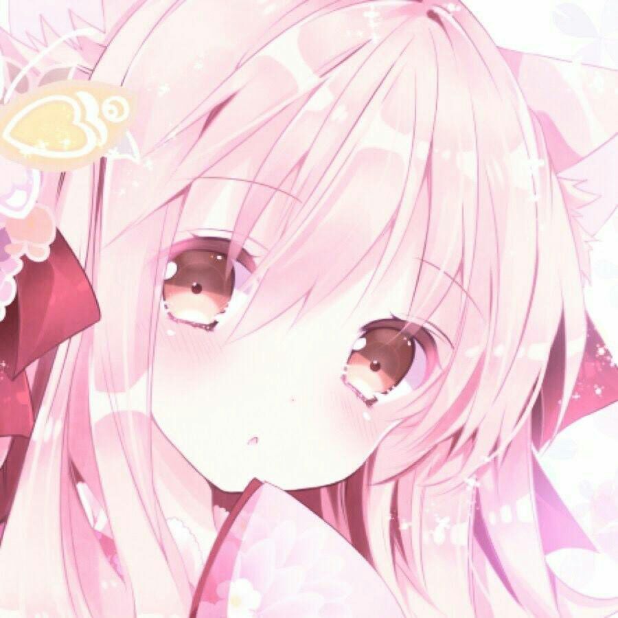 漫头软乎乎的萌妹子