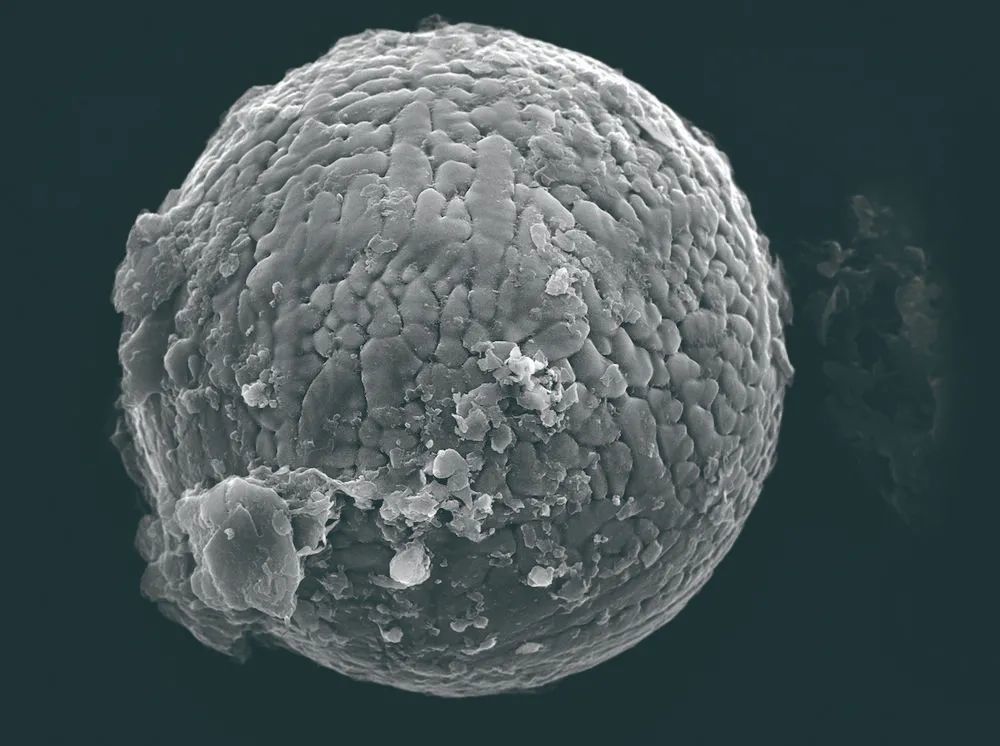 灰尘无处不在,但我们真的了解吗?_腾讯新闻