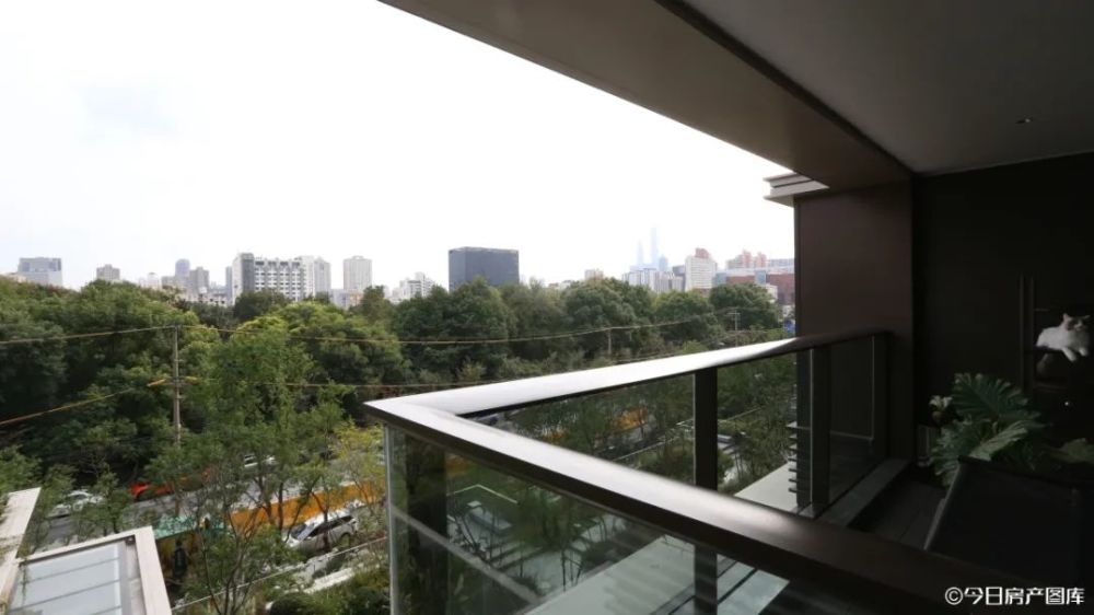 杨浦:仁恒会是天花板吗?