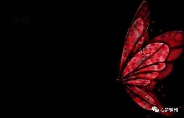 一棵树|飞翔的红蝴蝶