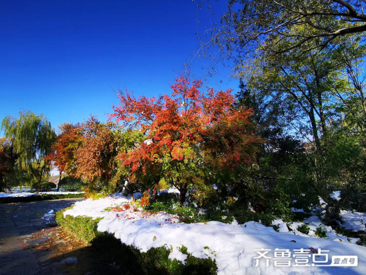 披红戴绿大明湖