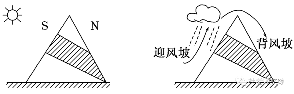 阴坡,这与向阳坡热量条件高于同一高度的背阴坡有关;迎风坡高于背风坡
