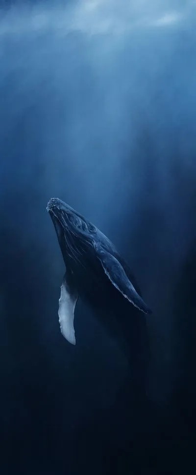 巨物与深海恐惧症:这些让人san值狂掉的照片,你是害怕还是兴奋?