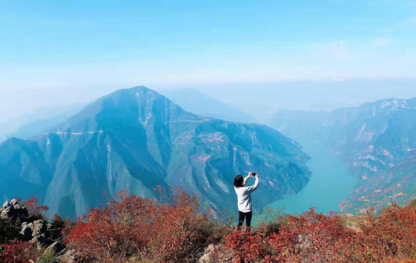 重庆巫山红叶渐次变红