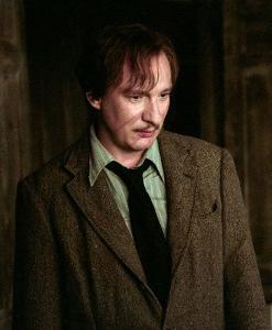 哈利波特感情篇唐克斯是卢平一生中为数不多的光