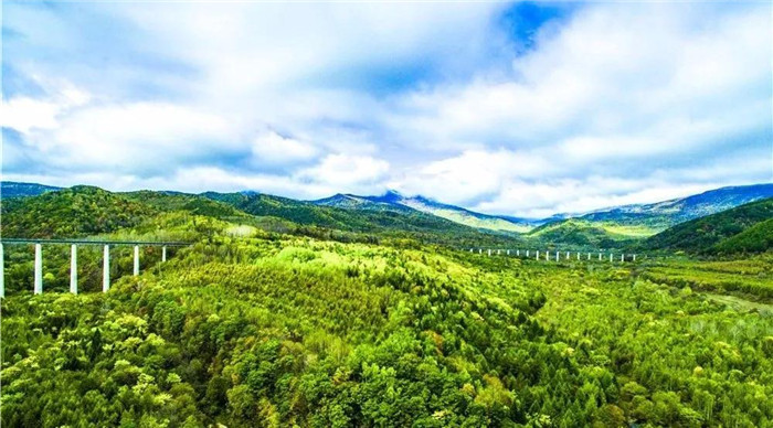 紫杉深处觅仙踪 可以"呼吸"的森林小镇 正等你一道 呼吸千年之精华_腾