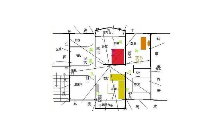 客厅风水学(澳洲杉放在客厅风水学)
