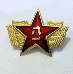 也成为空军帽徽,军种符号等识别标志的基本图案,因此,也是人们最常见