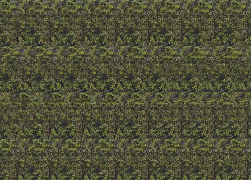 机哥多提一嘴,下面这种裸眼3d图片的原理也类似.