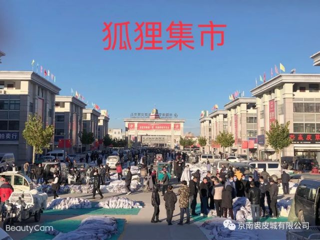 进入初冬肃宁一皮毛市场引爆行情