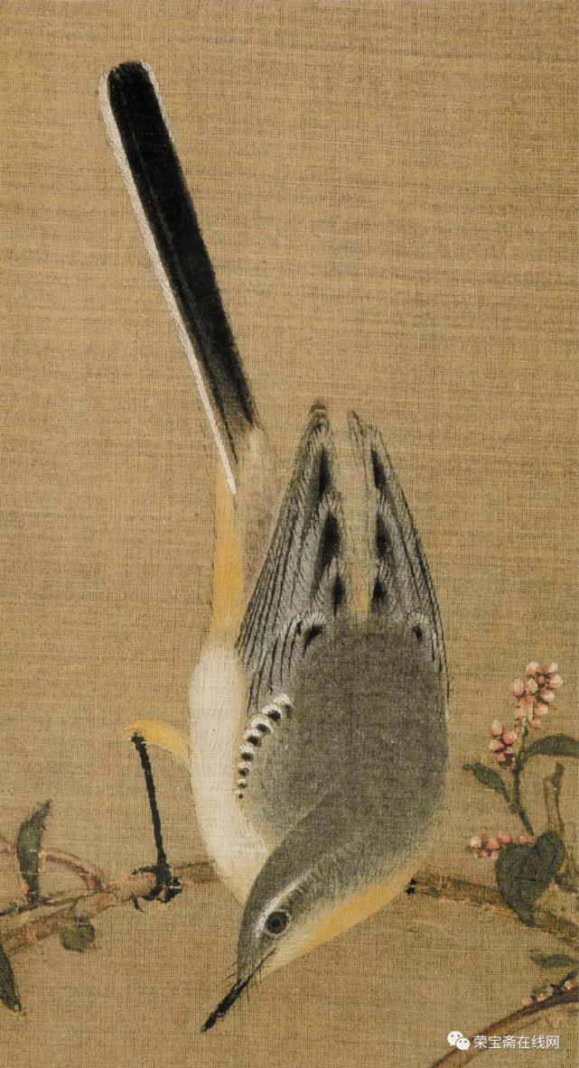 精品欣赏宋画中的禽鸟一