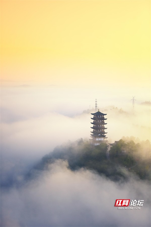 摄影师镜头里的大美永州:晨雾漫过河流,向城市奔赴而来!