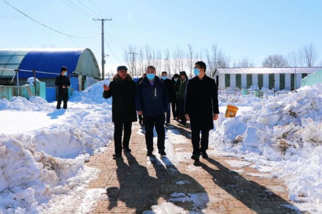 国家应急管理部有关领导到库伦旗查看雪灾受灾情况