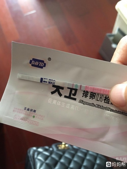 經朋友介紹,就從藥店買來各種排卵試紙,包括金秀兒半定量排卵試紙,金