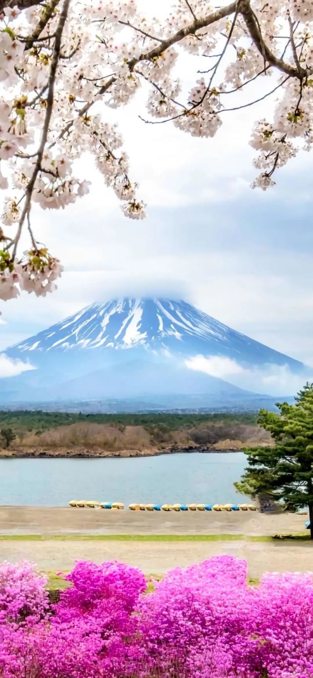 1112壁紙富士山下景色壁紙