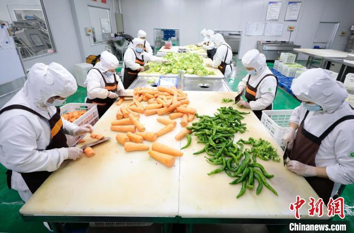 河北固安净菜加工24小时内进京到餐桌