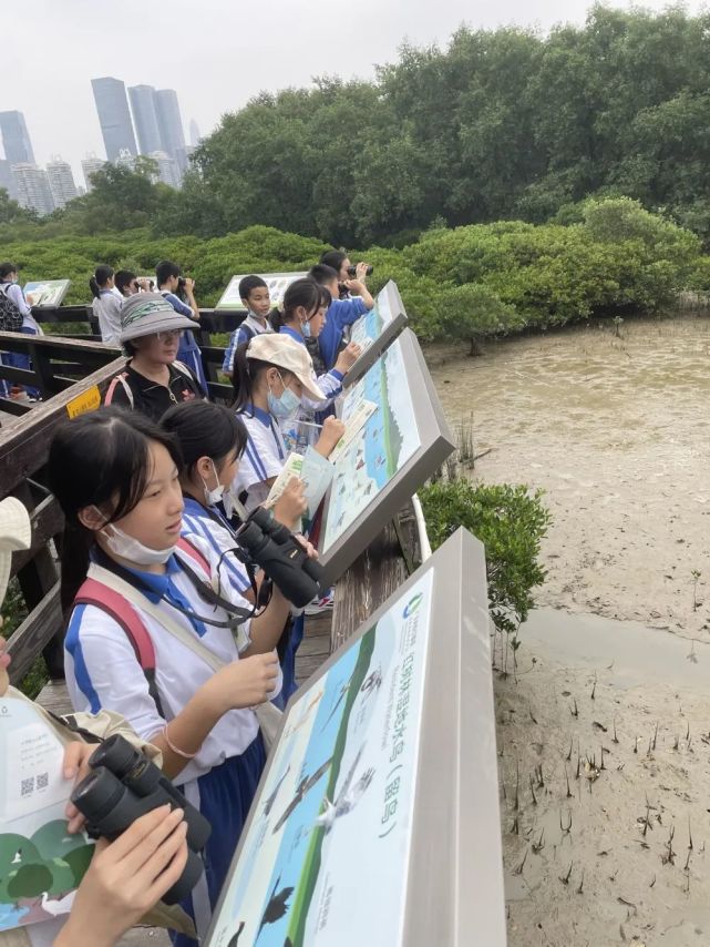 我是鳥兒小管家記梅麗小學參加紅樹林科普教育課程