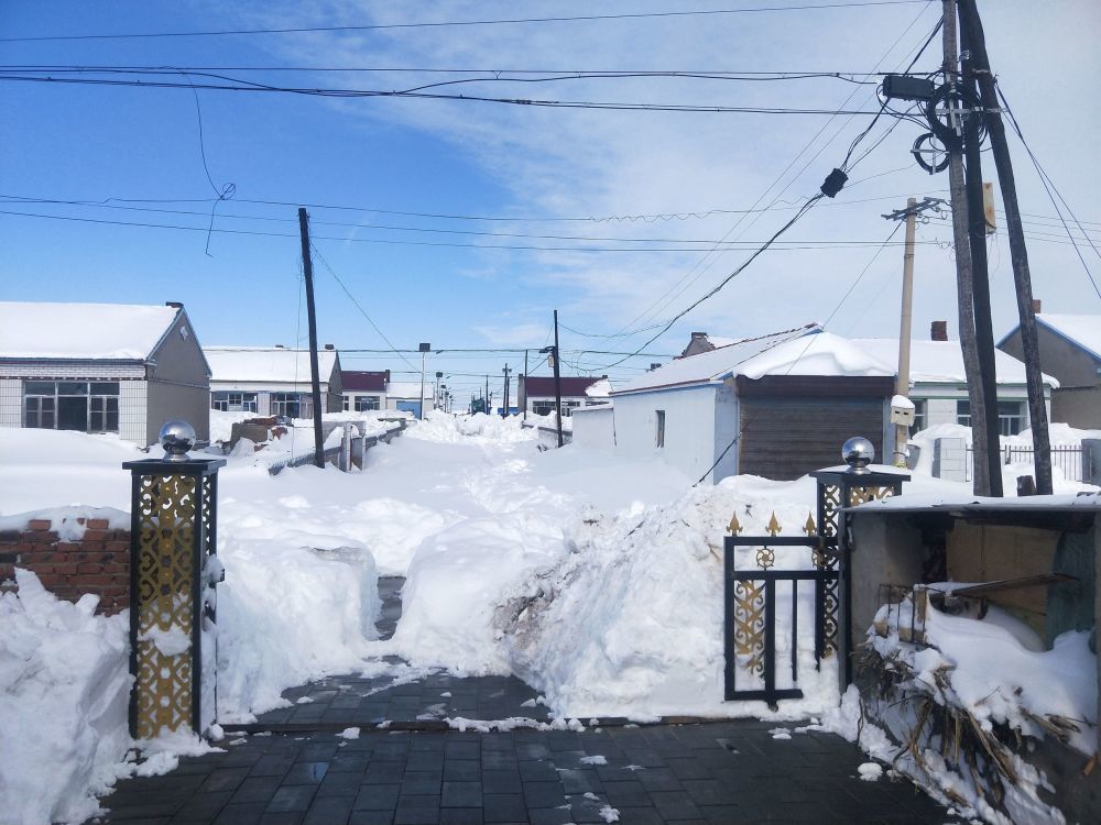 百年一遇极端大暴雪袭击东北专家有可能引发雪灾