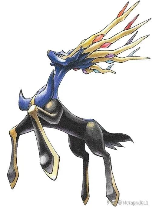 战术宝可梦剑盾双打系列讲解哲尔尼亚斯