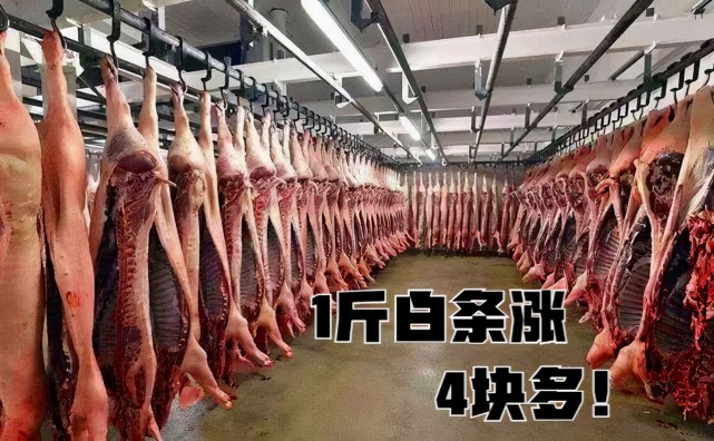 猪肉大涨39%,1斤白条涨4块多,生猪价格却"跌不动",啥情况?