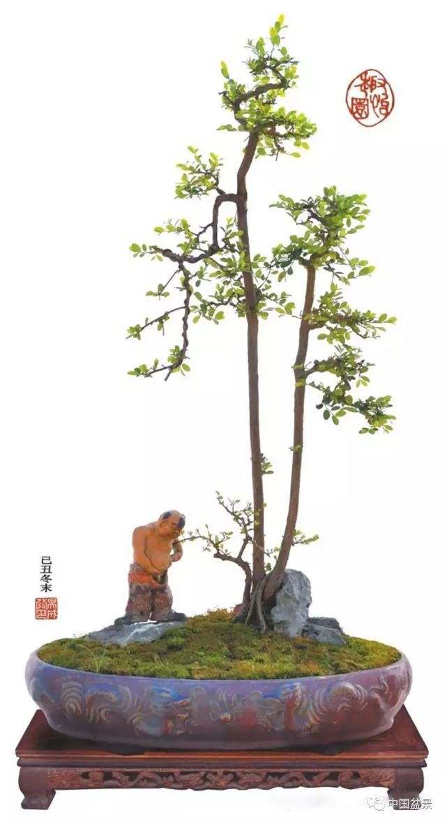 手有盆景心有书香不畏浮尘