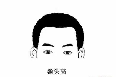 极贵面相龙转世为人的相貌特点