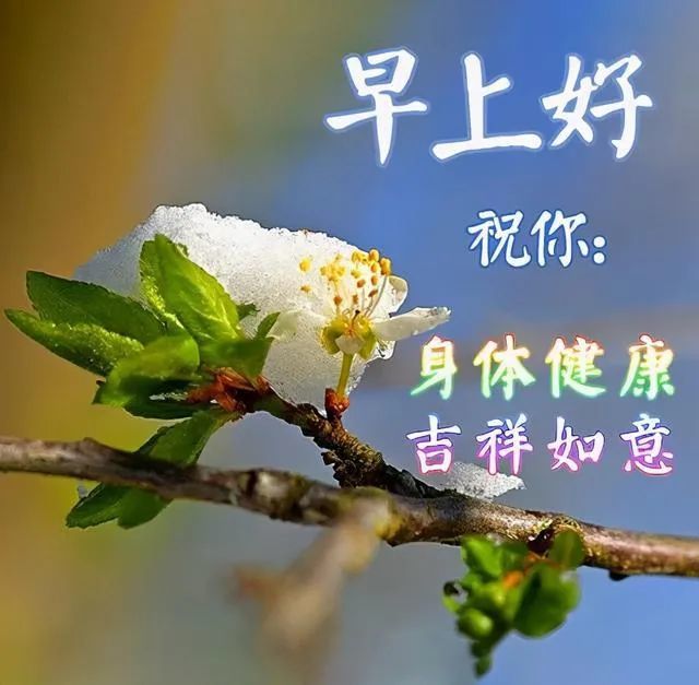 清晨早上好問候語加動態表情圖片冬日早安問候祝福語圖片帶字溫馨