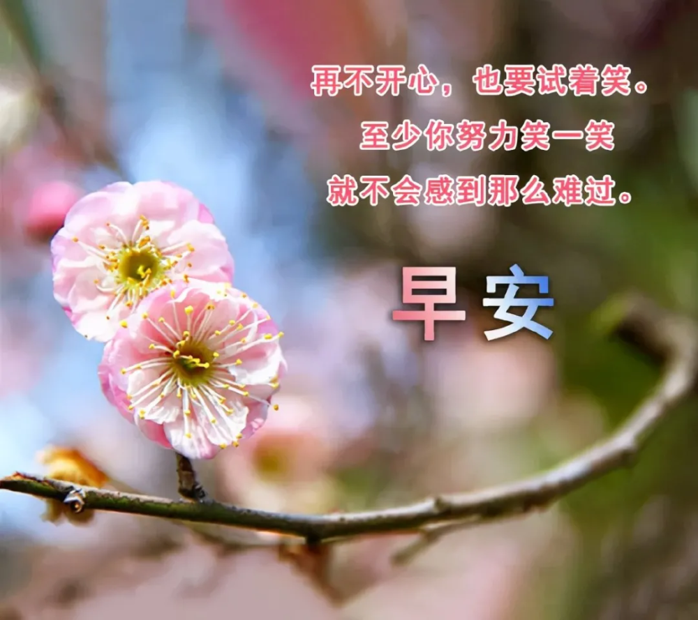 ʫ簲Ӽ_ʫ簲_ʫ簲ͼƬ