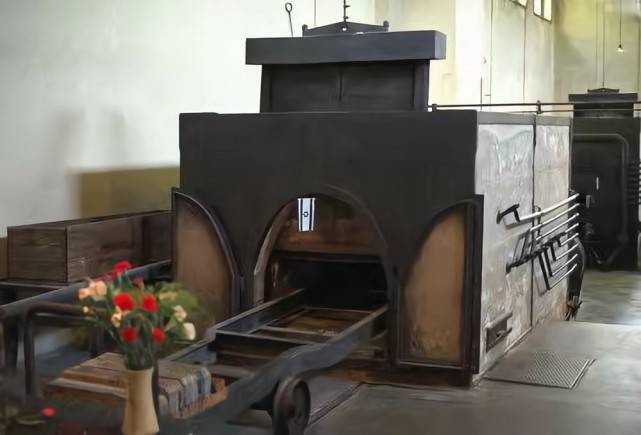 假死的人被送进了火化炉还有机会逃生吗你想知道的答案