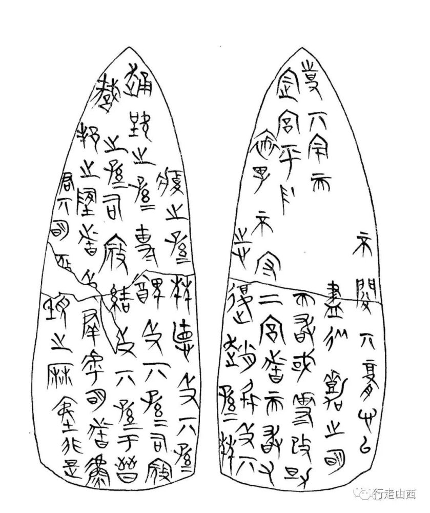 商代甲骨文与陶片上保留的书写字迹点画是柳叶形,轮廓变化很有规律