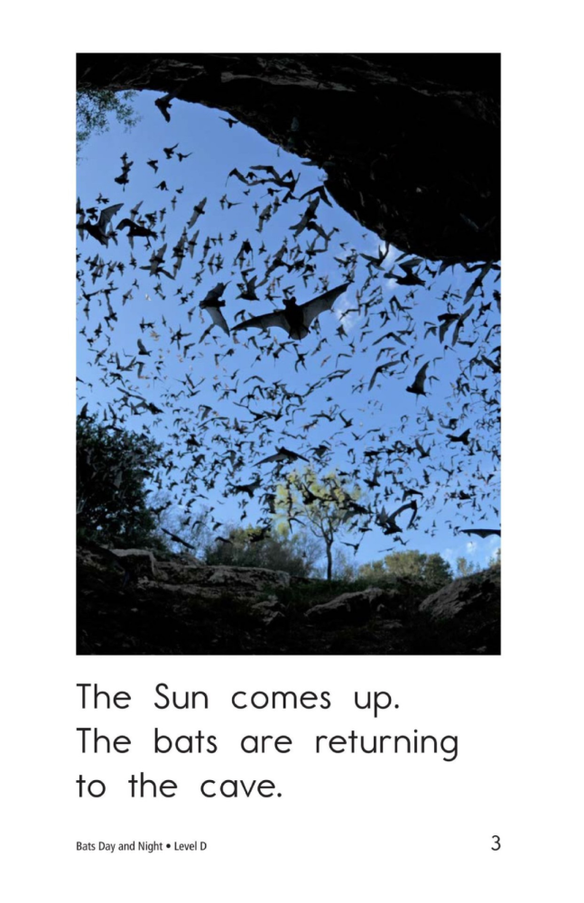 bats day and night_腾讯新闻