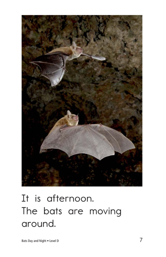 【RAZ D】9.Bats Day and Night_腾讯新闻