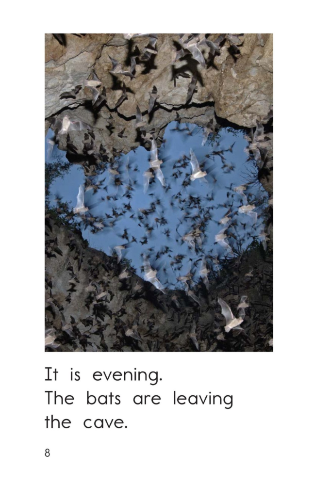 【RAZ D】9.Bats Day and Night_腾讯新闻