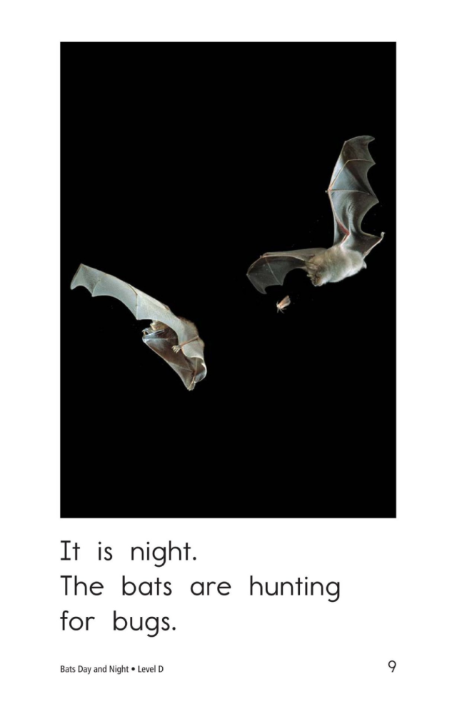 【RAZ D】9.Bats Day and Night_腾讯新闻