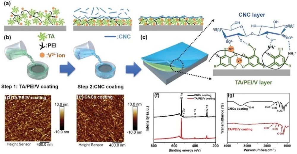 如何構建牢固的防汙纖維素納米晶塗層曾紅波院士afm攻克這一難題