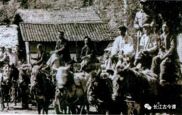 山間鈴響馬幫來,茶馬古道的馬幫傳奇