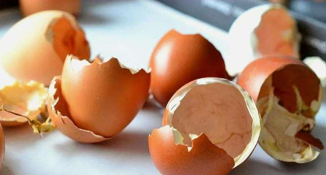 广东谚语风吹鸡蛋壳财散人安乐是什么意思