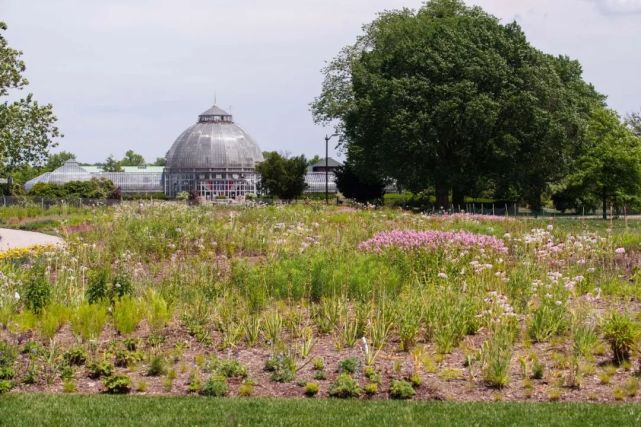 近日,美国底特律百丽岛公园(belle isle park)中的奥多夫花园正式向