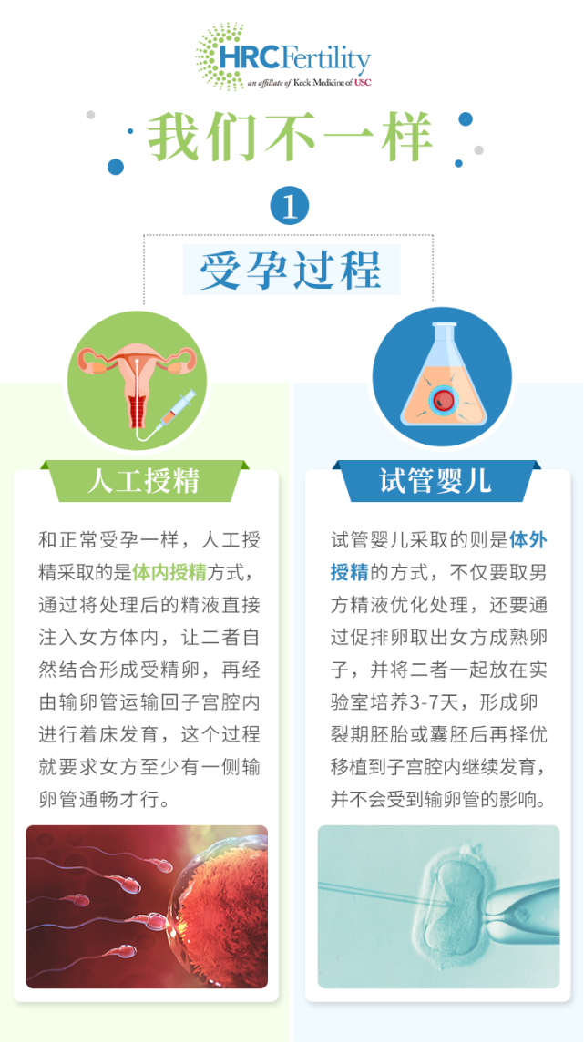 人工授精iui和試管嬰兒ivf 哪種助孕方式成功率更高?|試管知識