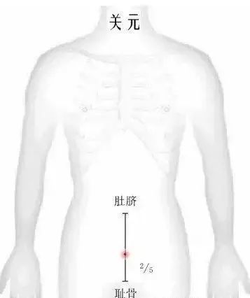 腰部放血的位置示意图图片