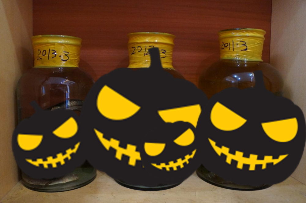 8条毒蛇泡酒22年,蛇酒变"毒酒",蛇酒的危害你早该知道_腾讯新闻