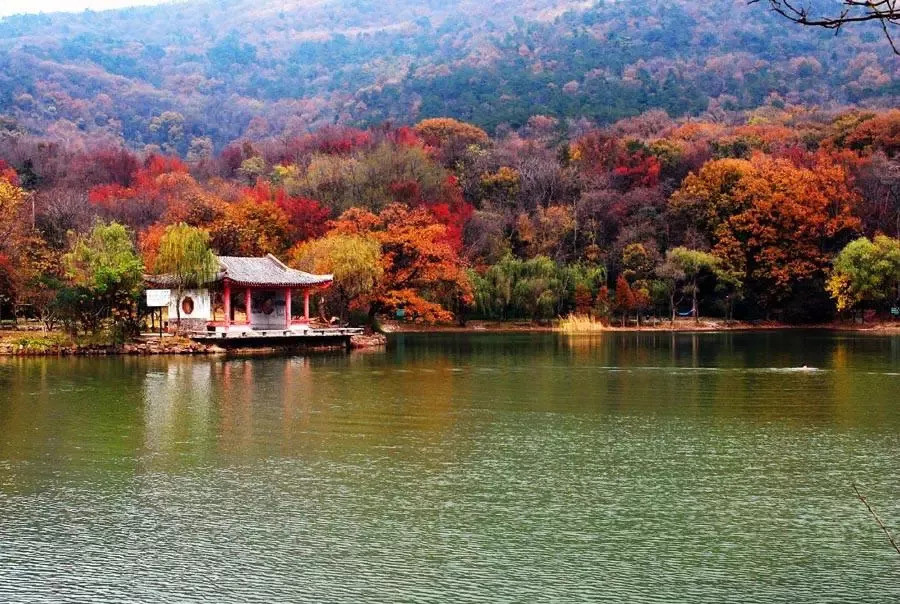 江苏一风景名胜区,自然景观丰富优美,有"钟山龙蟠"之美誉