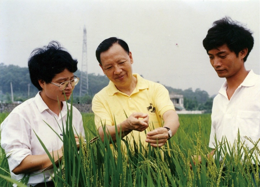 2000年6月,卢永根在水稻试验地指导博士研究生 刘向东(左,庄楚雄(右)