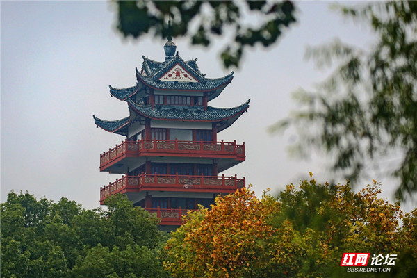 冬來秋猶在株洲神農公園的暖冬色你愛了嗎