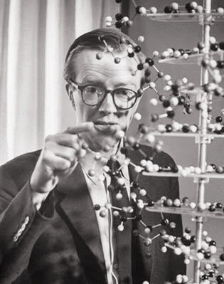 dna双螺旋结构发现:解锁生命奥秘的钥匙